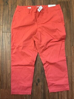 NWT Loft Pants - Coral